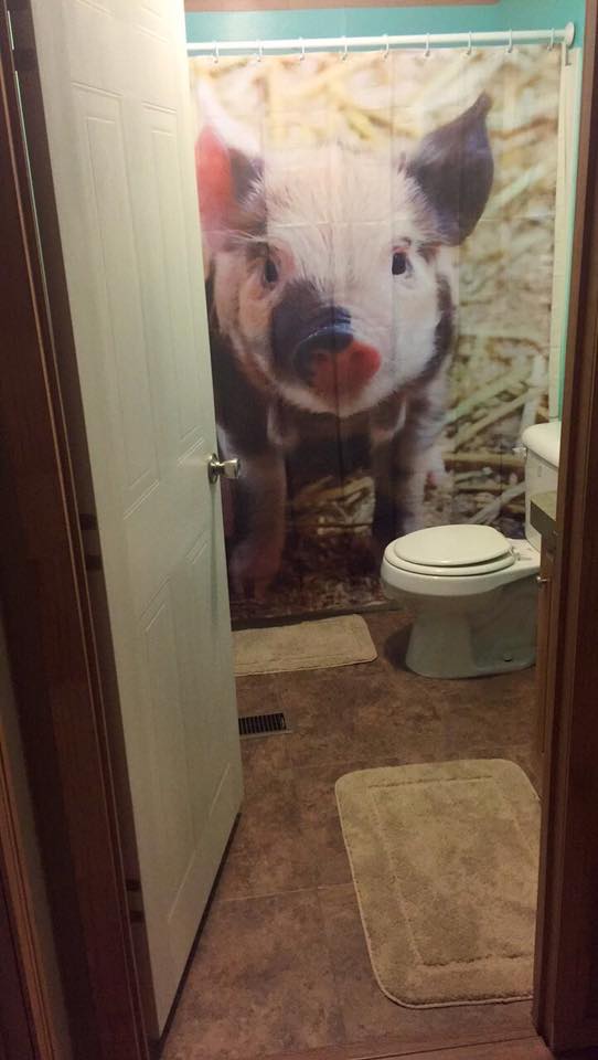 Pig Shower Curtain