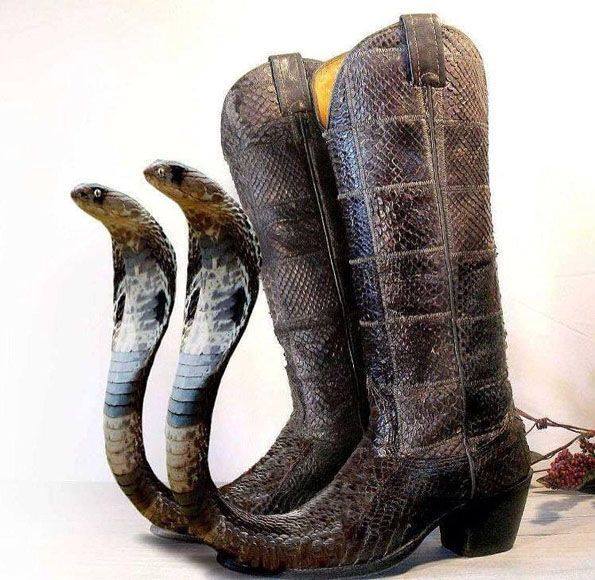 Cobra Boots Funny Shoes