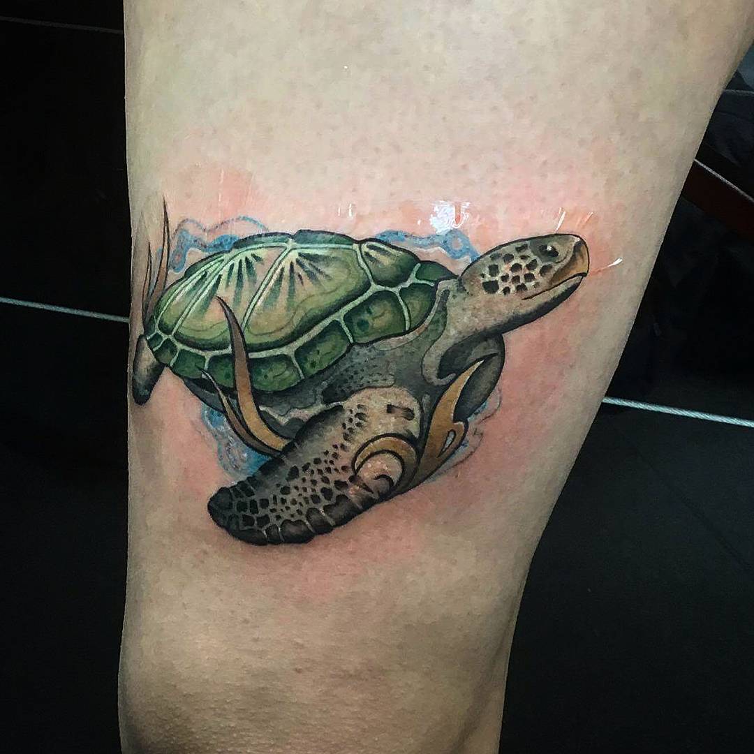 Colored Turtle Tattoo On Leg