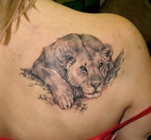 Cute Lion Tattoo On Back