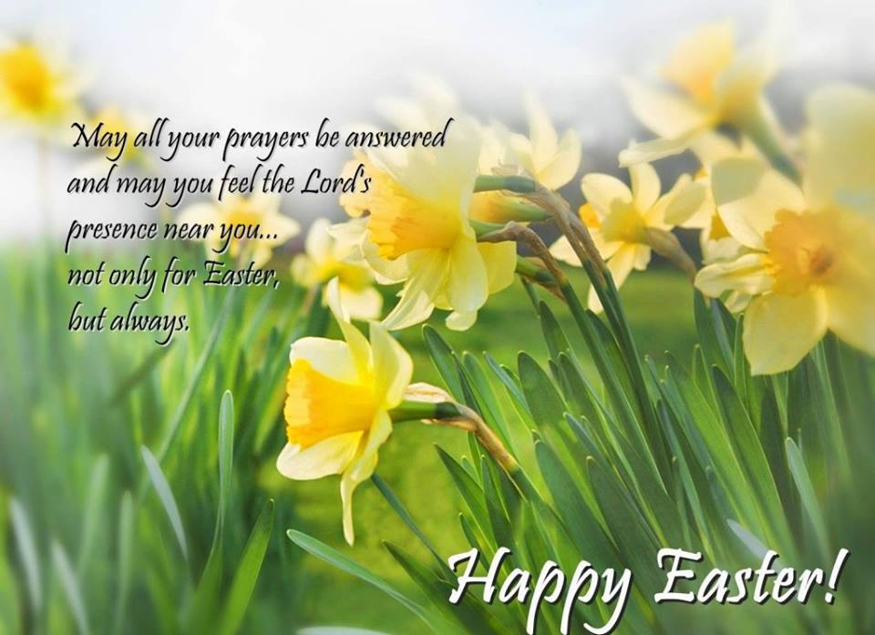 Happy Blessed Sunday Quotes Sunday Palm Church Quotes Easter Banners