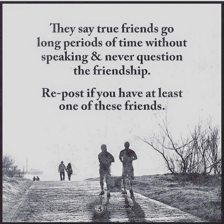 56 Friendship Quotes For Your Friend To Say That You Are His/Her True ...