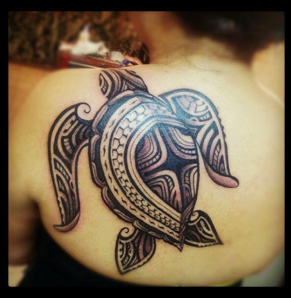 Gorgeous Turtle Tattoo On Back Shoulder