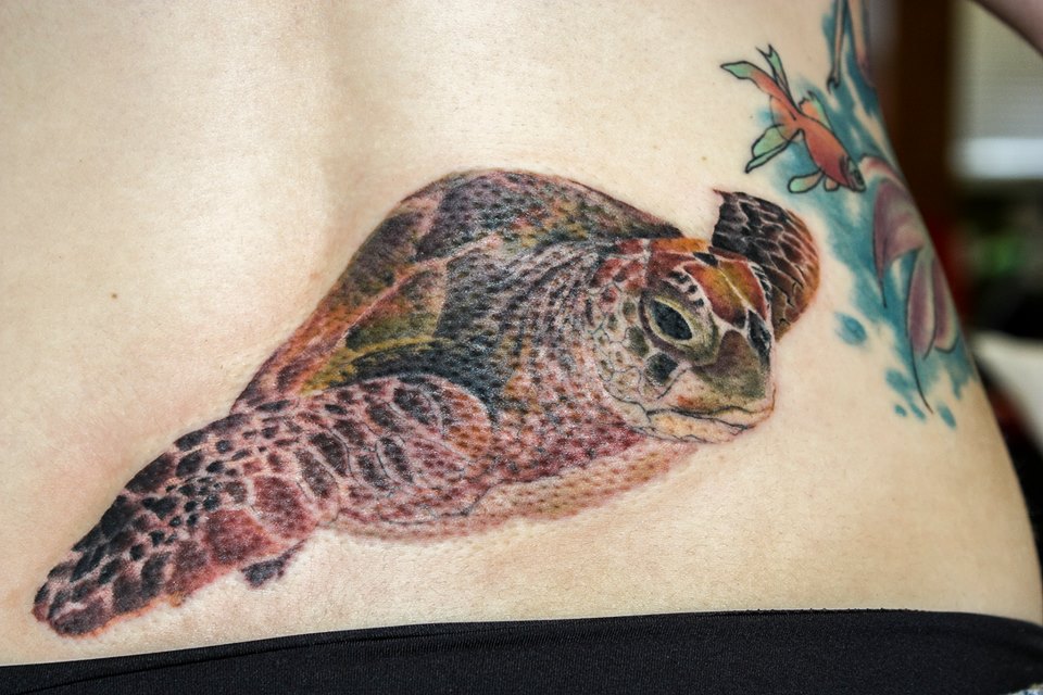 Realistic colored Sea Turtle Tattoo On Lower back