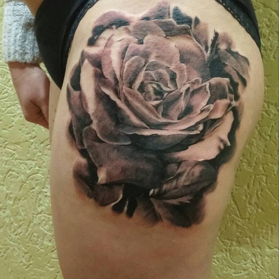 Big Rose On Hip