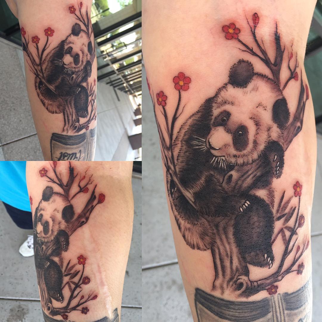 Panda Bear On Tree