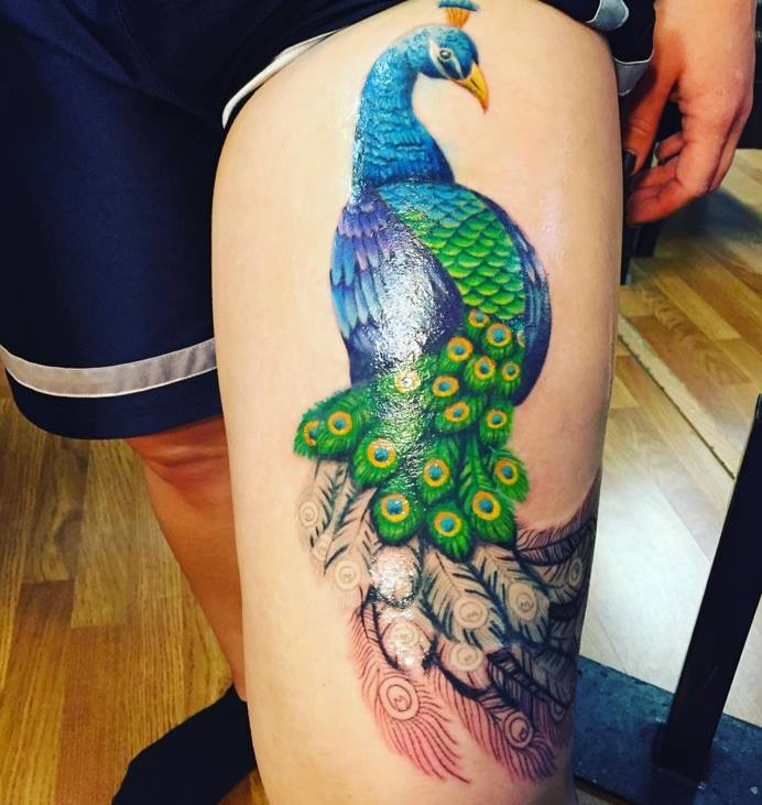 Adorable Peacock Tattoo On Thigh