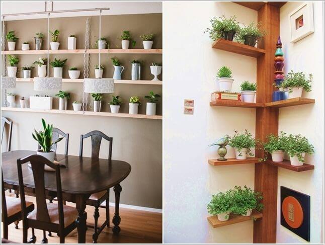 Amazing Idea For Indoor Plants