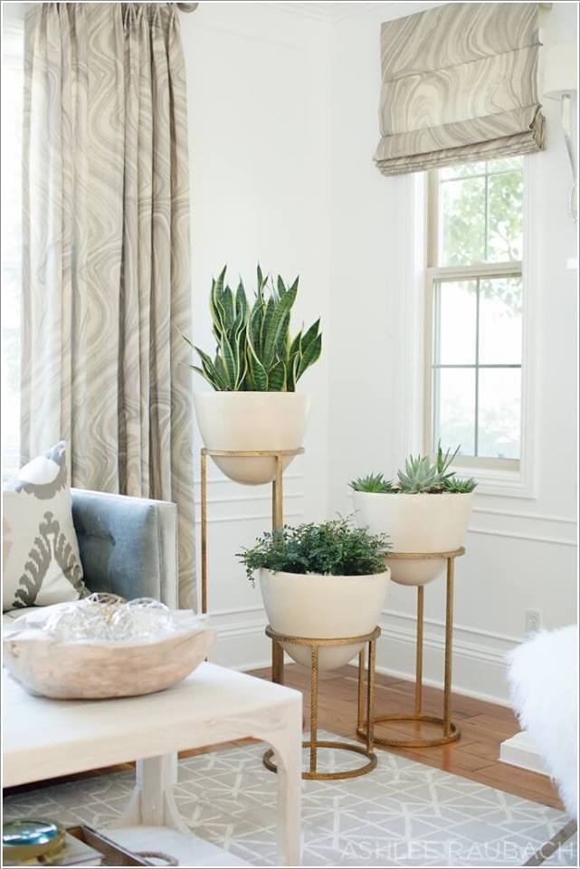 Beauriful Indoor Plants In Living Area