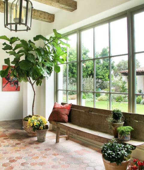 Beautiful Indoor Plant Idea