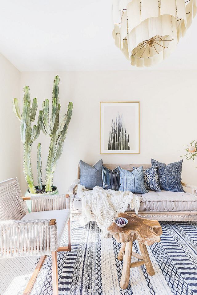 Cactus In Living Room