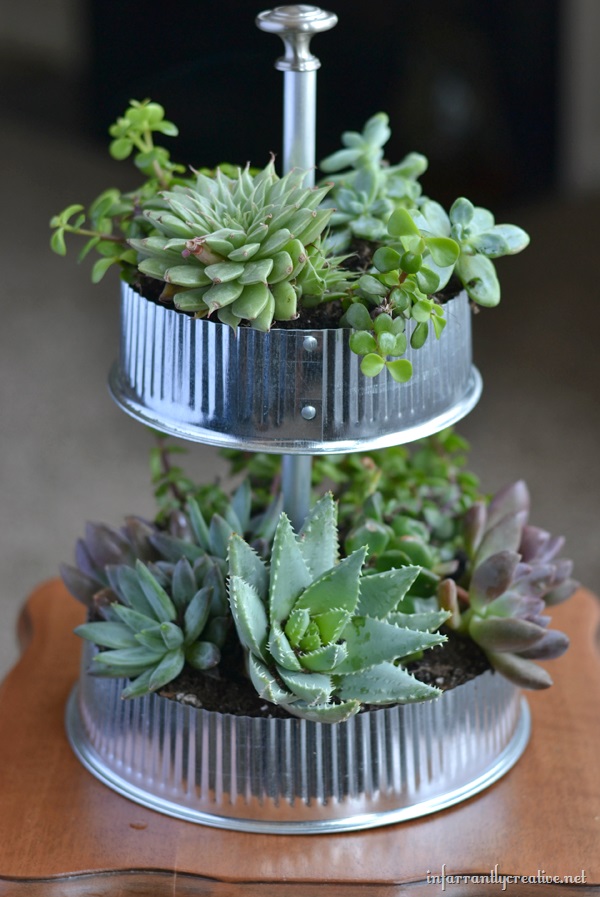 Couple Craft Idea To Decorate Plants Indoor