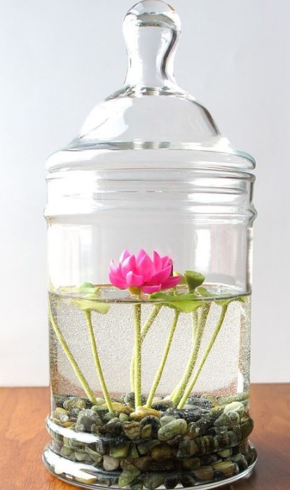 Flower Plotted In Jar Inside Home