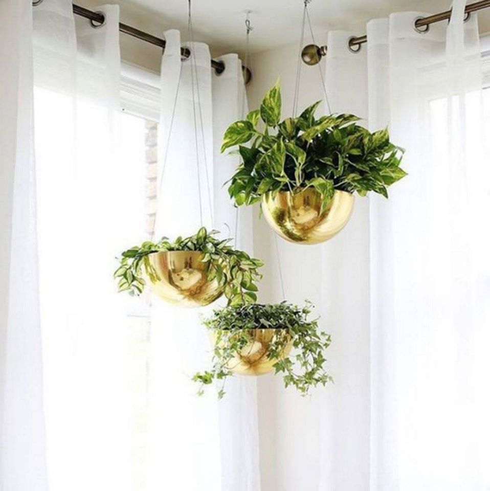 Hanging Plants Beautifully