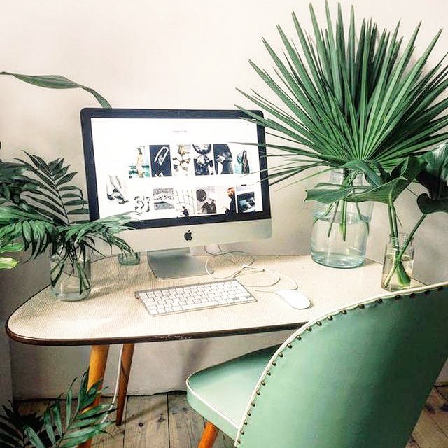 Indoor Plant Decor In Home Office