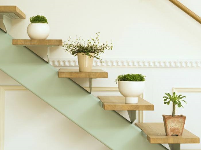Indoor Plants On Stairs