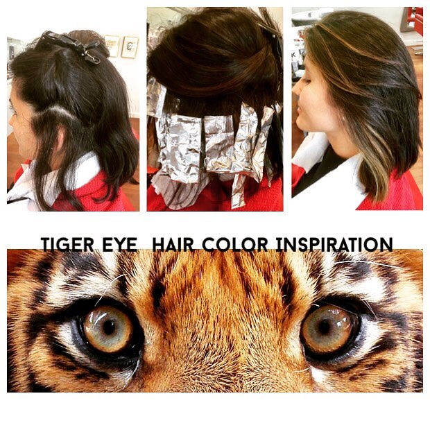 Natural Tiger Eye Color