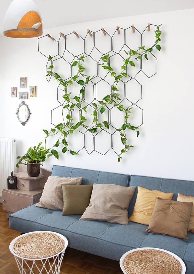 Nice Idea For Indoor Plants