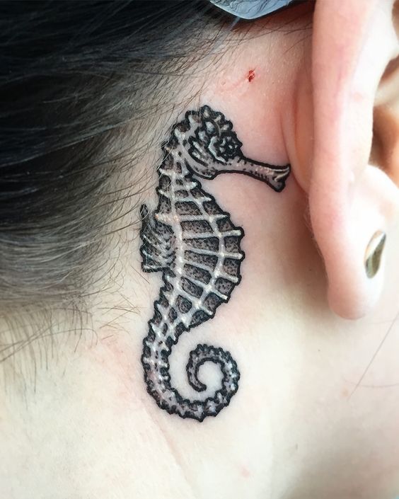 Ravishing Little Sea Horse Behind The Ear Tattoo