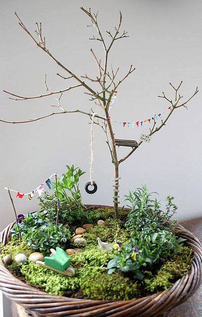 Small Indoor Garden In The Basket