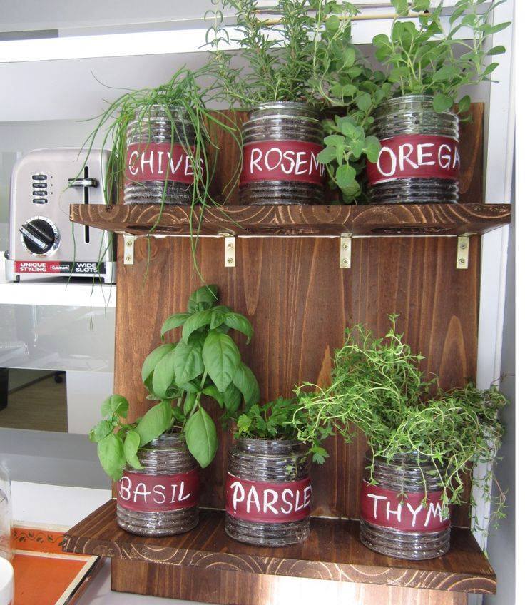 Variety Of Plants Inside Home