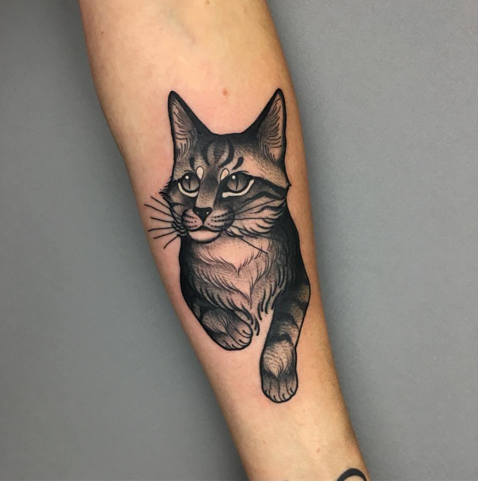 3D Cat Tattoo On Arm