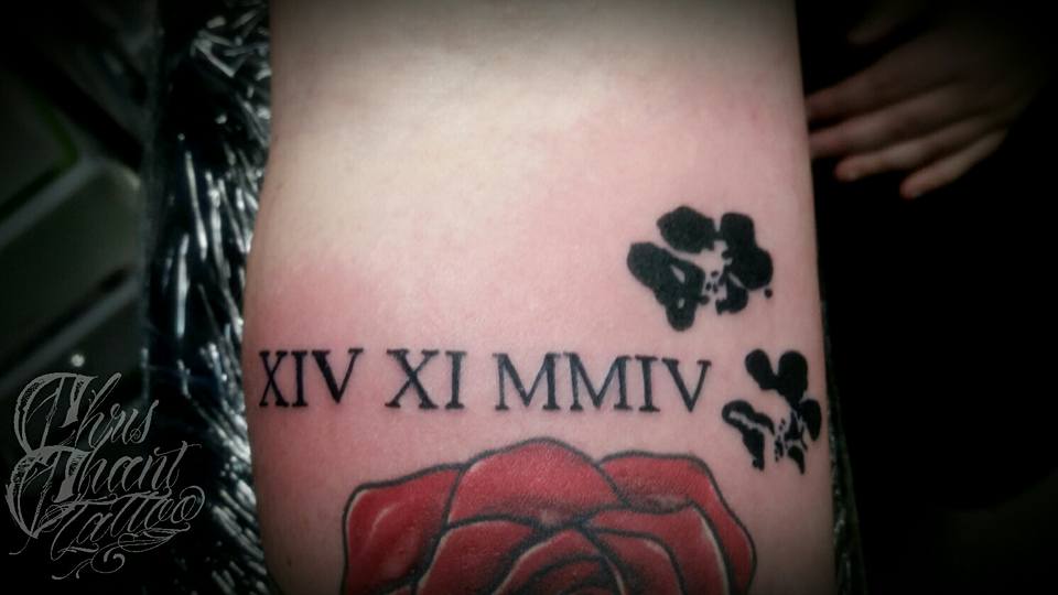 A Couple Of Little Paws, Red Rose With Roman Numerals