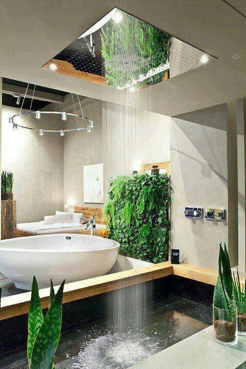 Adorably Stylish Rain Shower With Plant Decor Bath