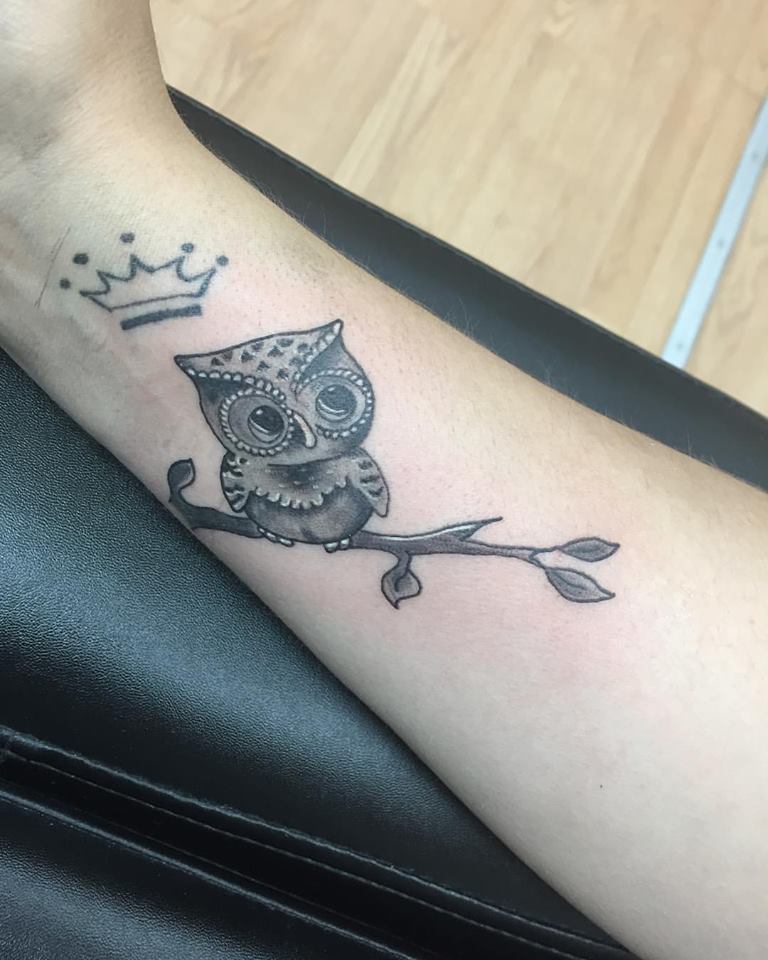 An Owl Sitting On Branch With Crown On Wrist
