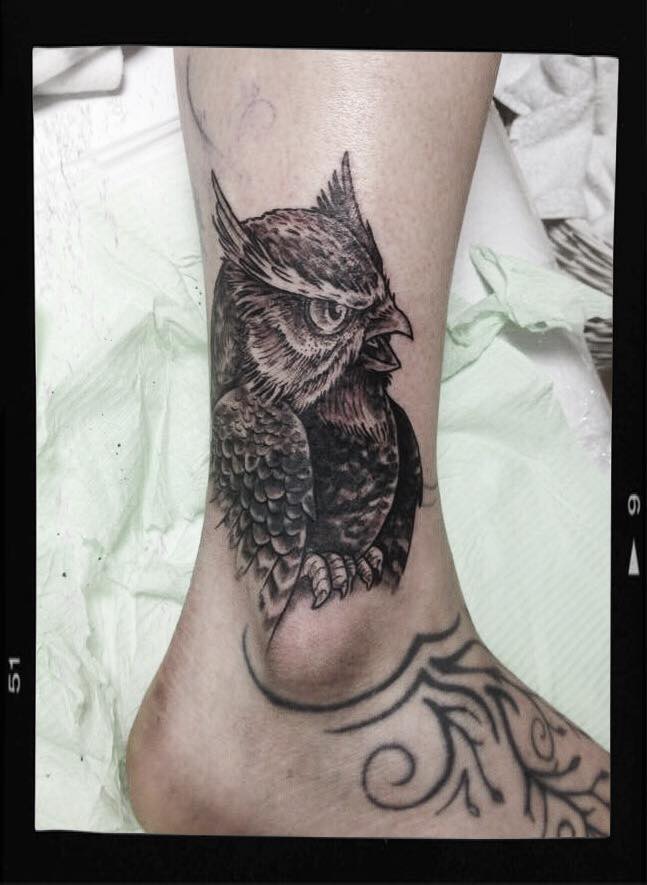 Angry Owl On Leg