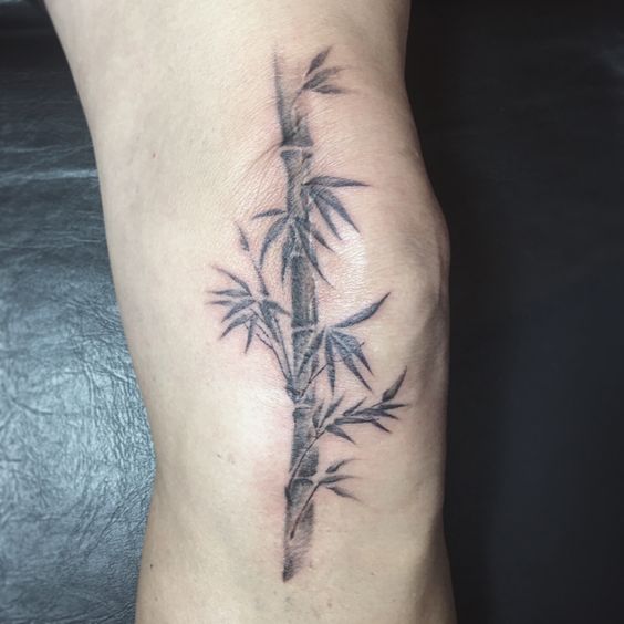 Black Bamboo Tattoo On Knee