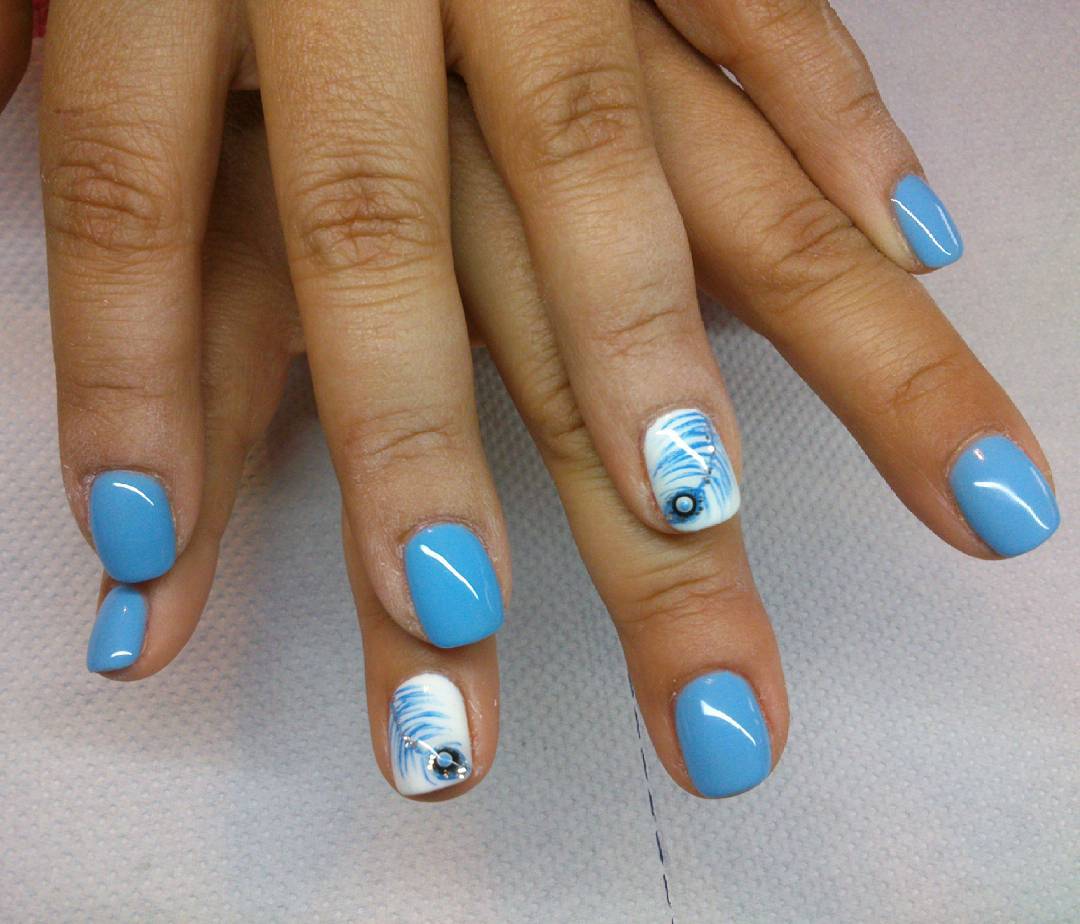 Blue & White Nails Decorated With Peacock Feather