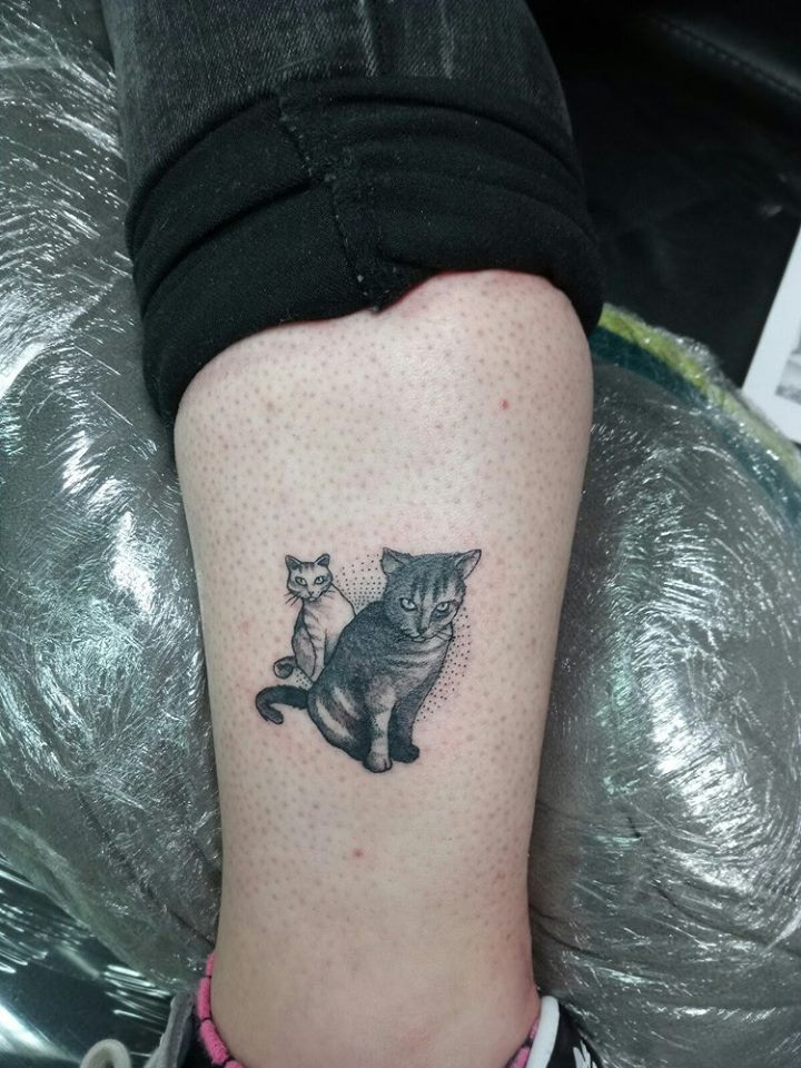 Cat With Kitten Inked On Arm