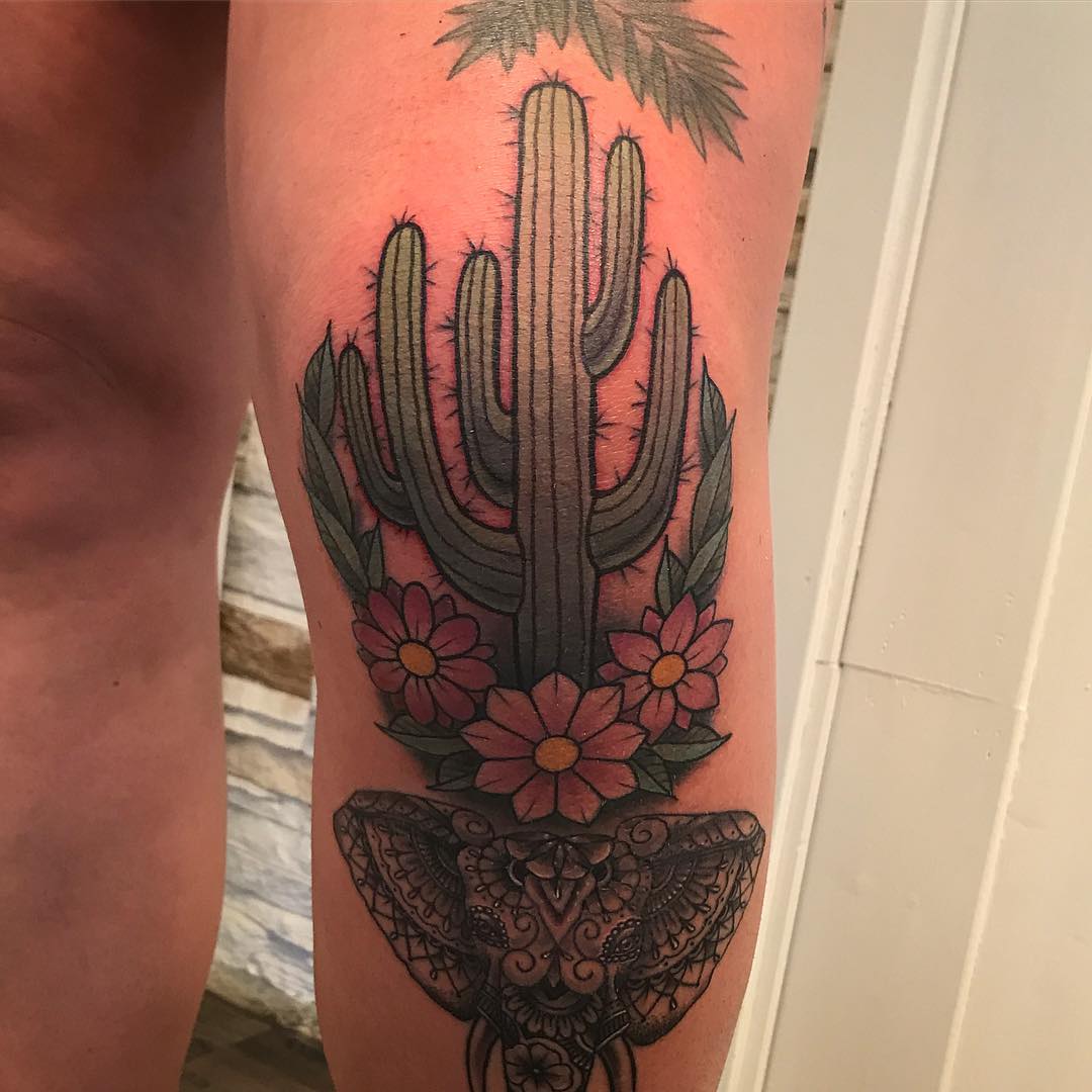 Colored Cactus With Flowers O Knee