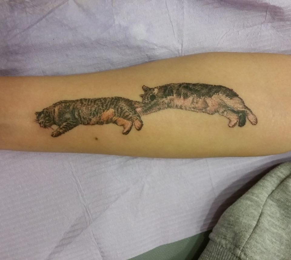 Fighting Cats Tattoo