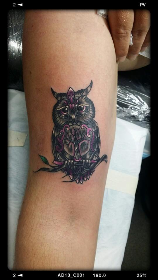 Graceful Colored Owl Tattoo On Half Sleeve