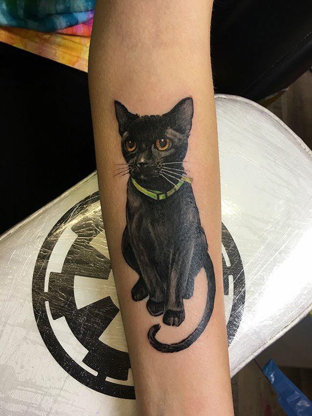 Great Work Black Cat Tattoo On Sleeve