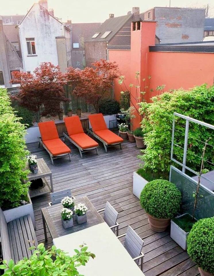 Colorful Roof Top Garden With Wooden Flooring