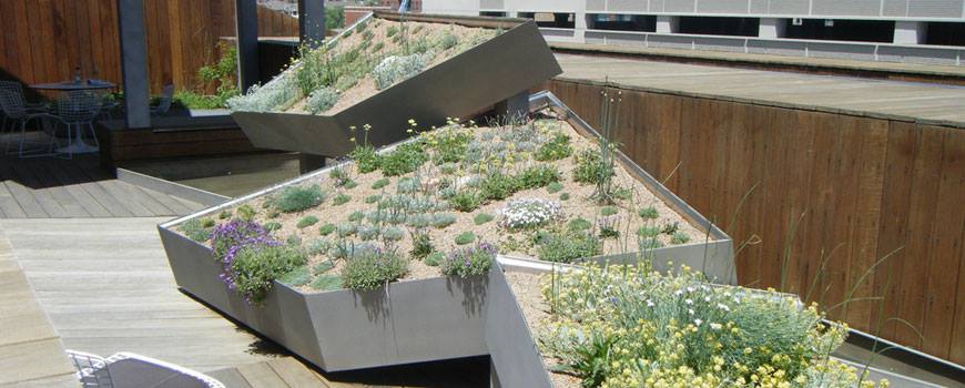 Creative Idea For Terrace Gardening