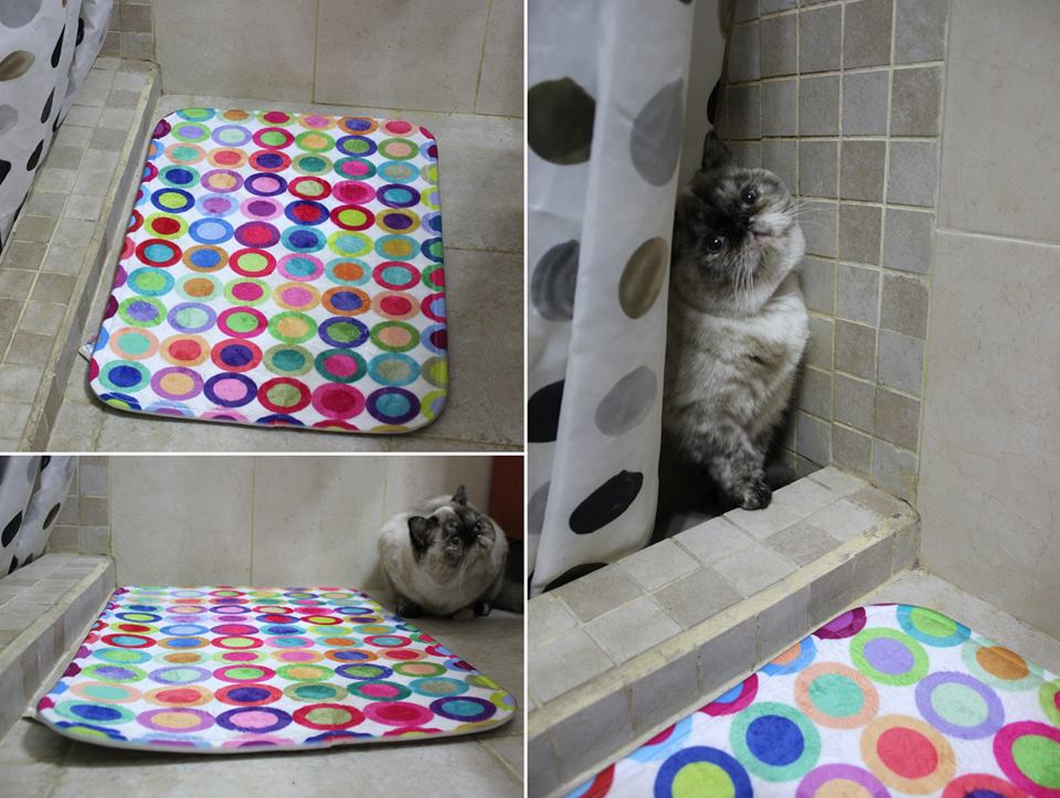 Designer Colorful Bath Mat
