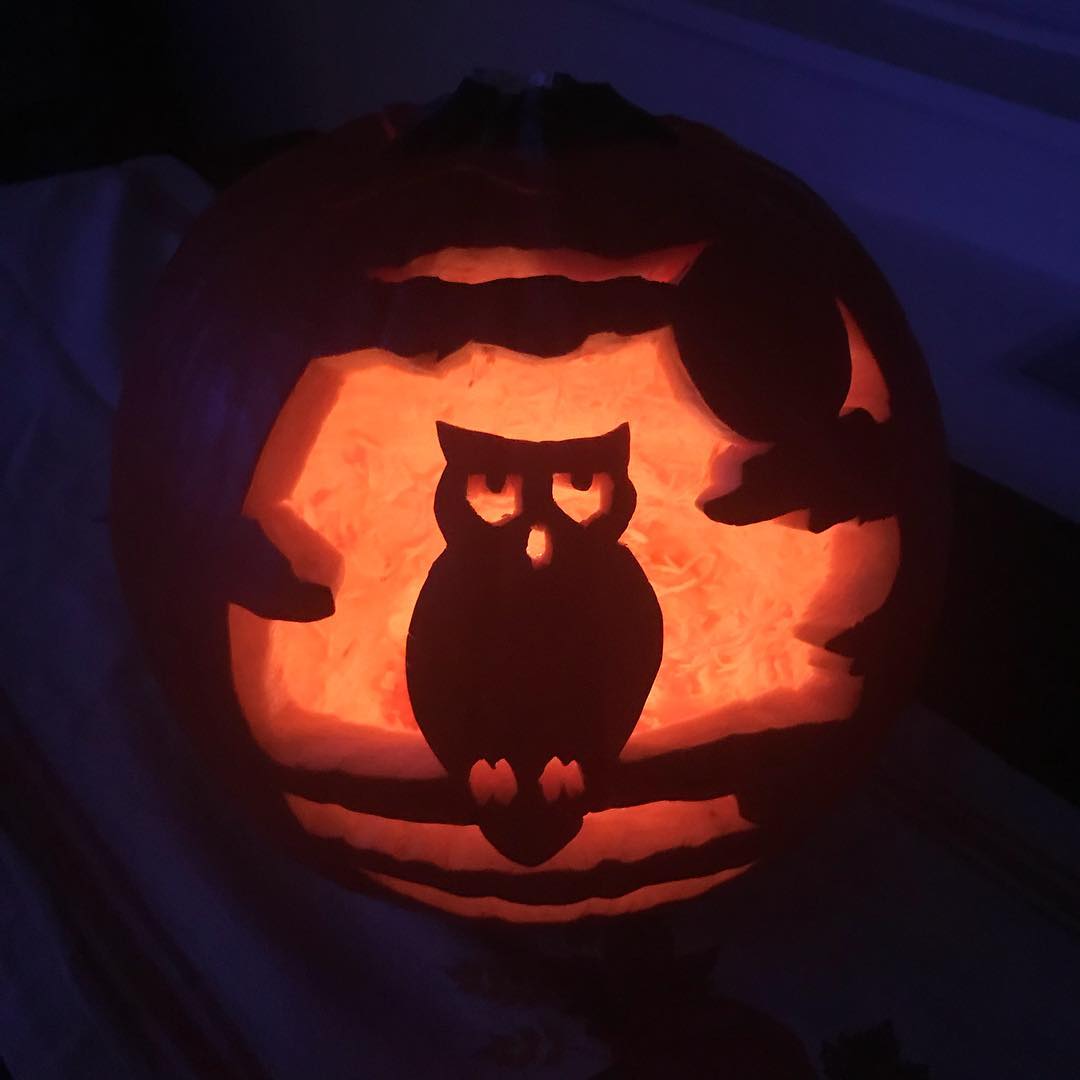 Creative Owl Carving from Pumpkin. Pic by foodingtheworld