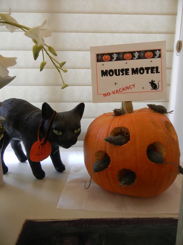 Creepy Cat With Pumpkin Mouse Hotel