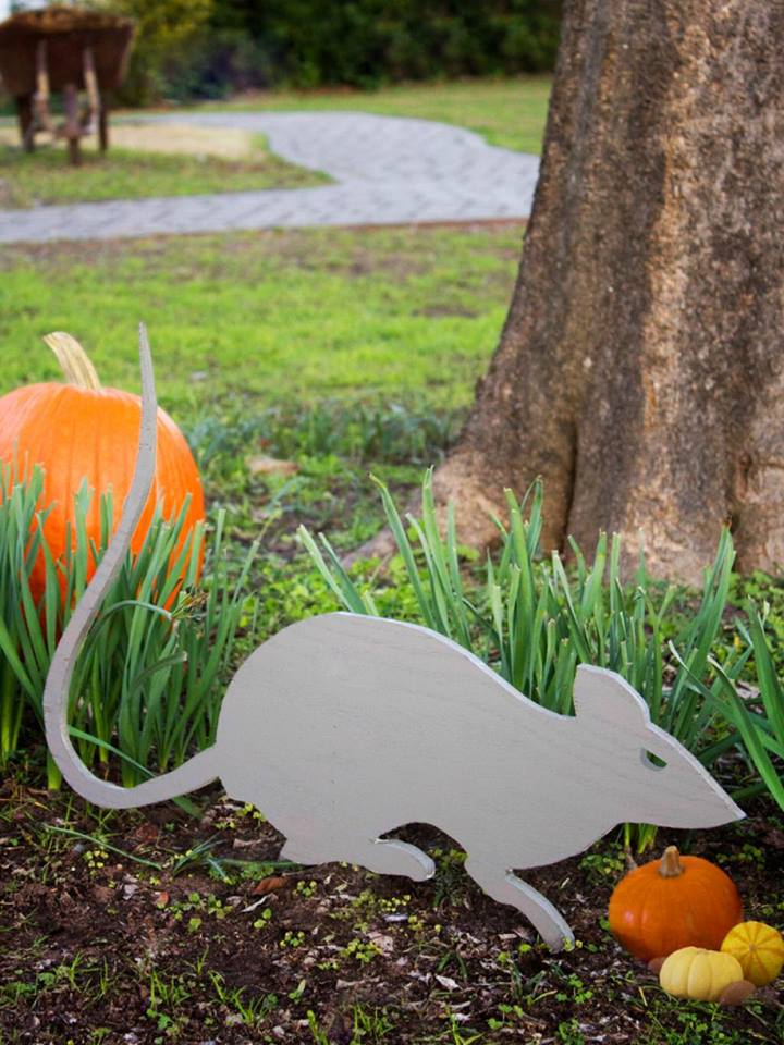Eye Catching Giant Rat By Paper