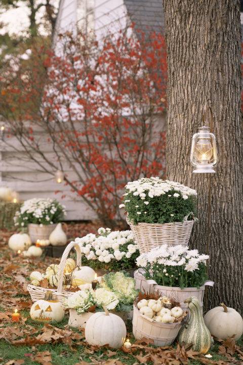 Colorful Outdoor Is Decorated With Pumpkins & Laltern