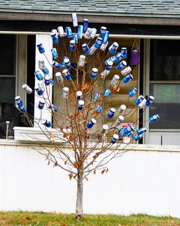 Cool beer cane Christmas tree. Pic by coop4r