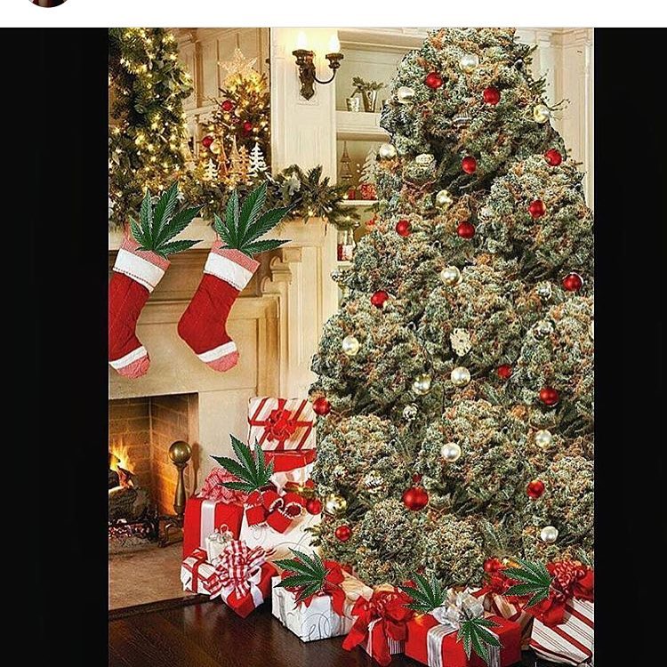 Greenest Unique Christmas Tree