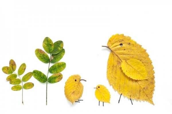 Impressive Leaf Bird Idea