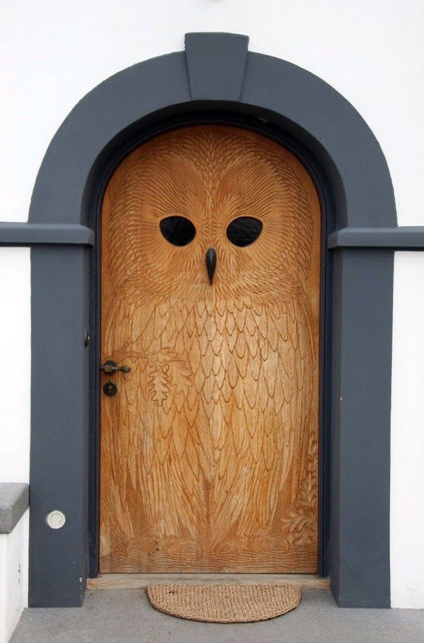Owl On The Front Door