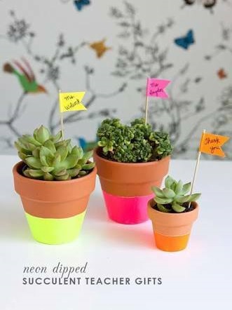 Smart Idea To Gift Plants