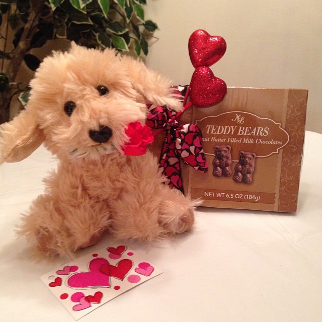 Teddy Bear With Chocolates